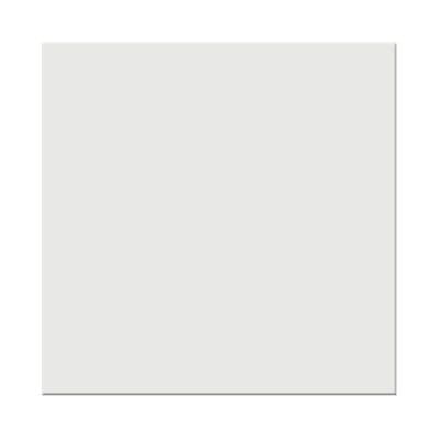แผ่นฝ้าโปรคลีนคัลเลอร์ GYPROC ขนาด 60 x 60 x 0.8 ซม. (กล่อง 10 แผ่น) สีขาวเนียน