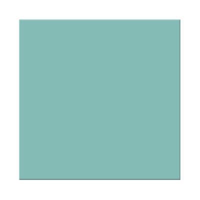 แผ่นฝ้าโปรคลีนคัลเลอร์ GYPROC ขนาด 60 x 60 x 0.8 ซม. (กล่อง 10 แผ่น) สีเขียวน้ำทะเล